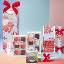 Подарочный набор: шоколадные конфеты, суфле, конфета ручной работы, чай 380г