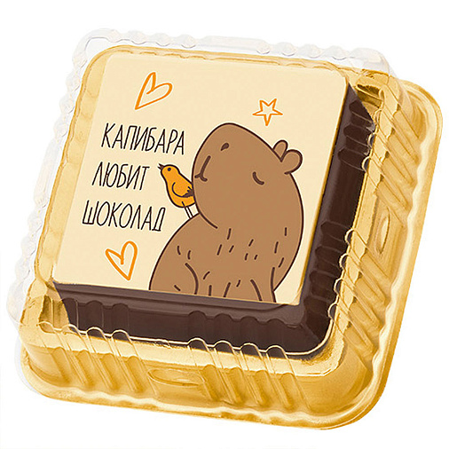 Суфле шоколадное капибара с птичкой 20г